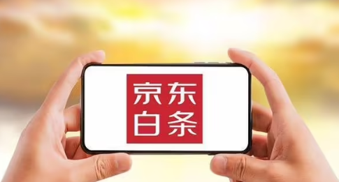 白条账户被风控该怎么办？逐步提升信用记录的有效方法！