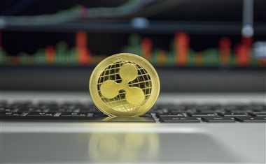 网贷和信用卡哪个更划算？我们来一探究竟！
