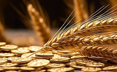 哪些贷款不上征信容易下款？整理5个不看征信最容易下款的贷款平台