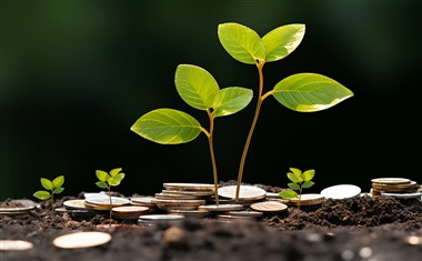 不看征信无视黑白的贷款有哪些？盘点5个无视征信黑白户秒下的口子